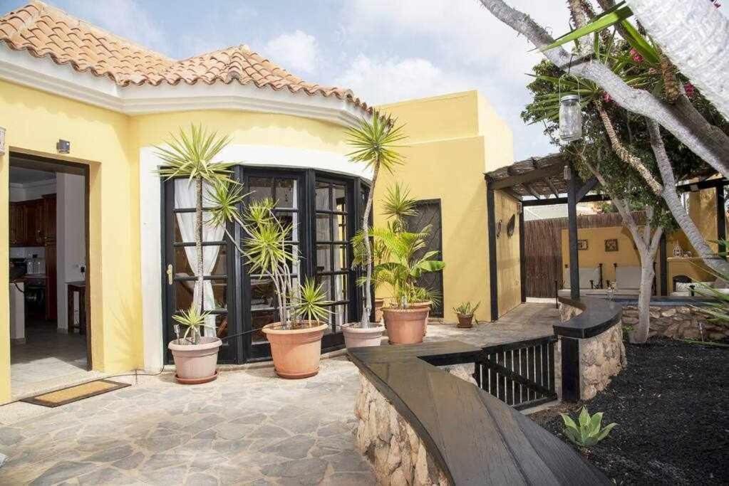 Aurora Mari Villa Your Dream Steps From The Ocean Shore 科斯塔卡莱塔 外观 照片